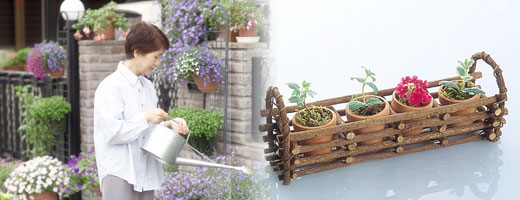 ���Ԃ̈�ĕ��C���[�W