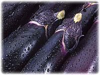 Ȃ