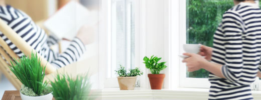 オススメ観葉植物イメージ
