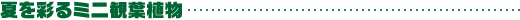 Ăʂ~jϗtA