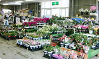フラワーランド愛川店