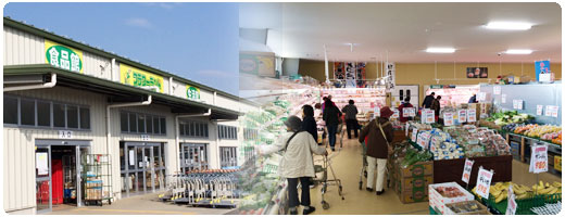 フラワーランド伊勢原店